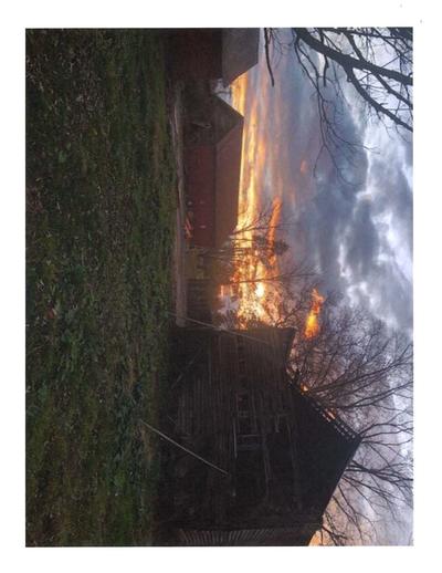 Photo 7